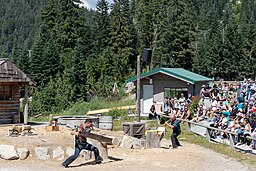 Lumberjack competition